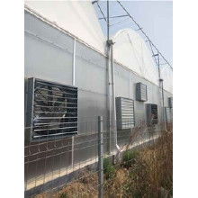 玻璃鋼無動力風機價格 玻璃鋼無動力風機批發 玻璃鋼無動力風機廠家 