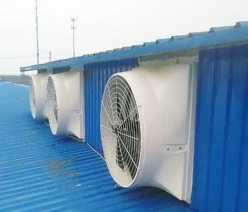 無(wú)動(dòng)力屋頂風(fēng)機(jī)報(bào)價(jià)與廠家選擇指南